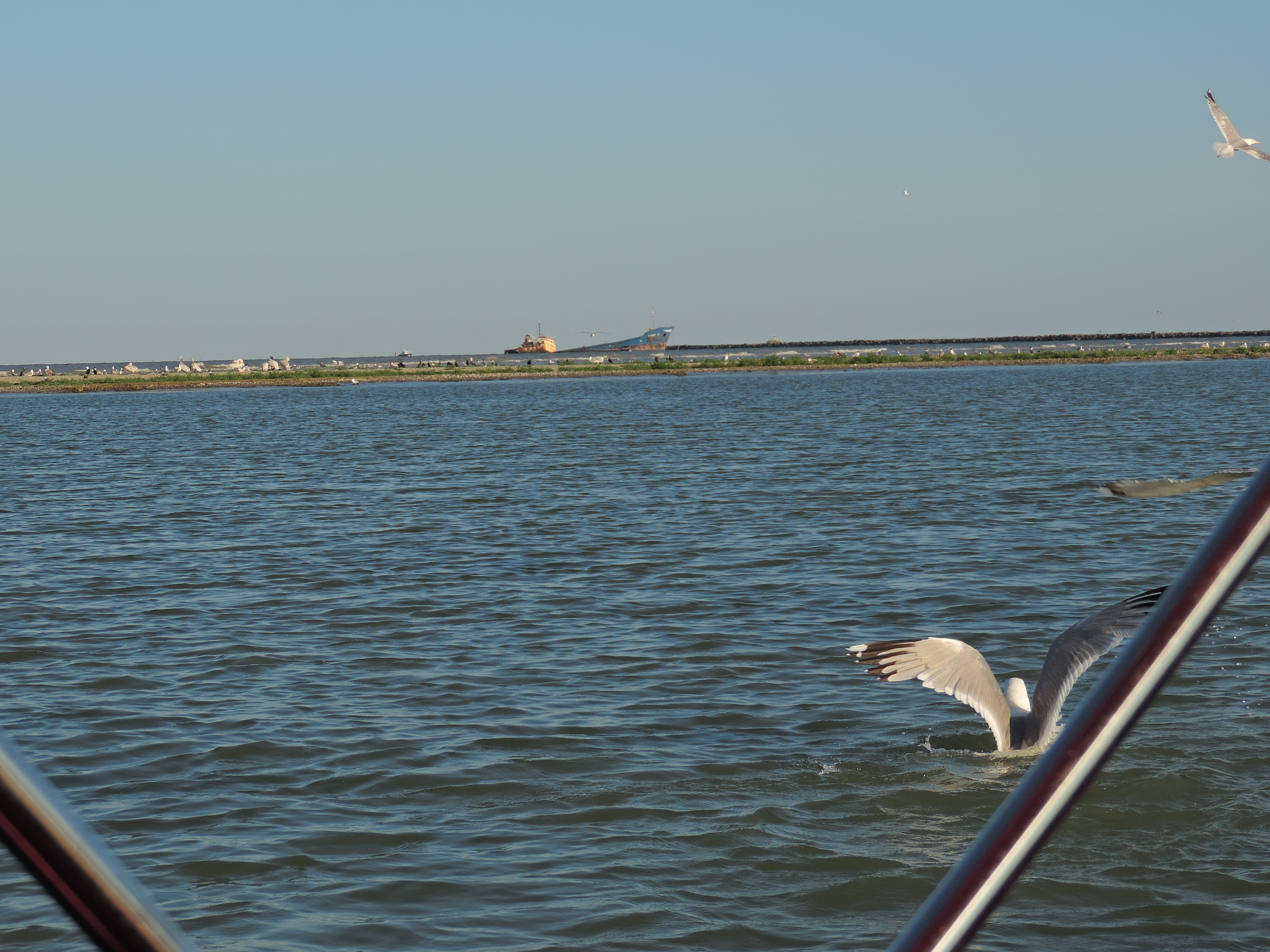 sulina