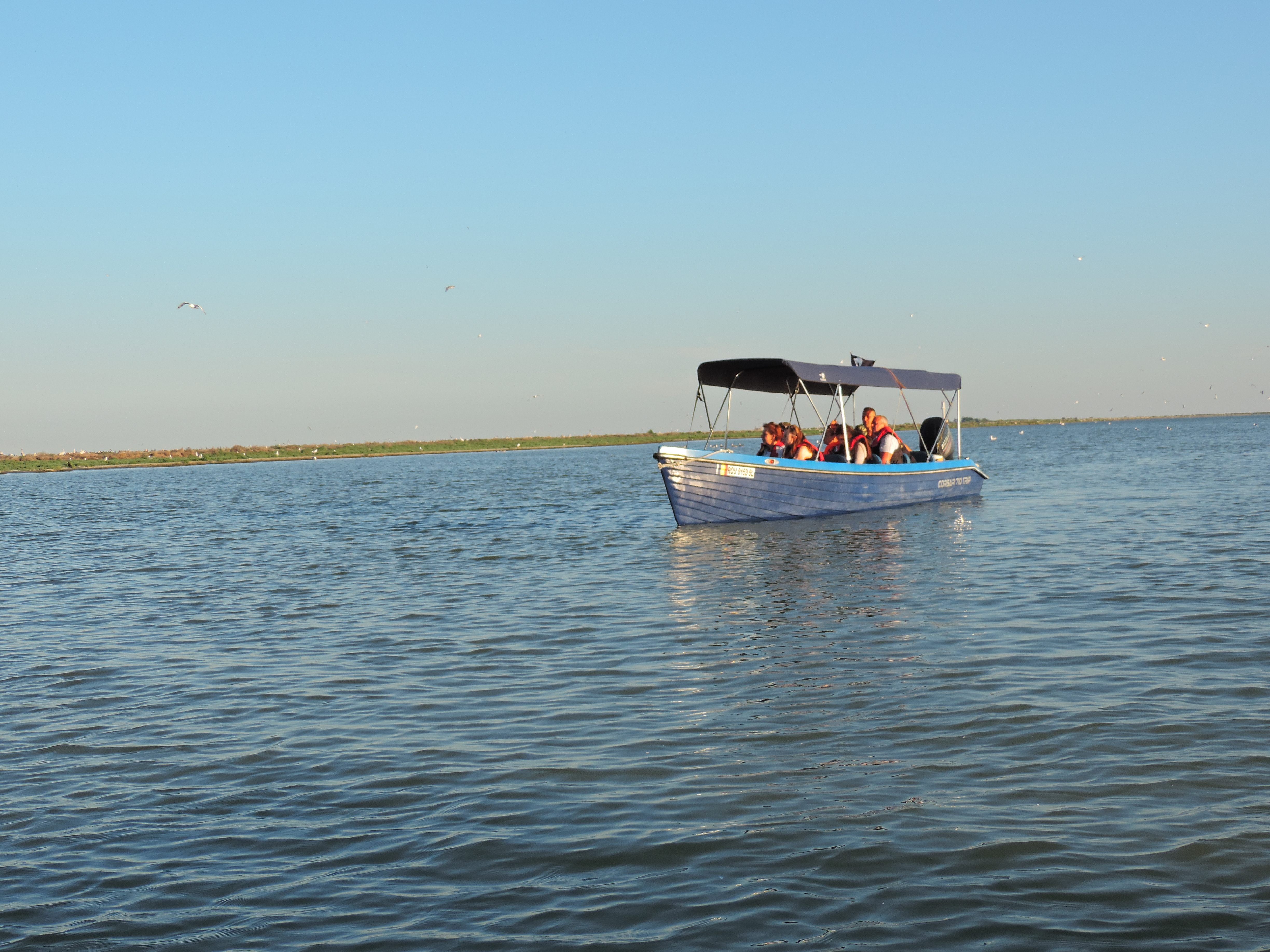 sulina