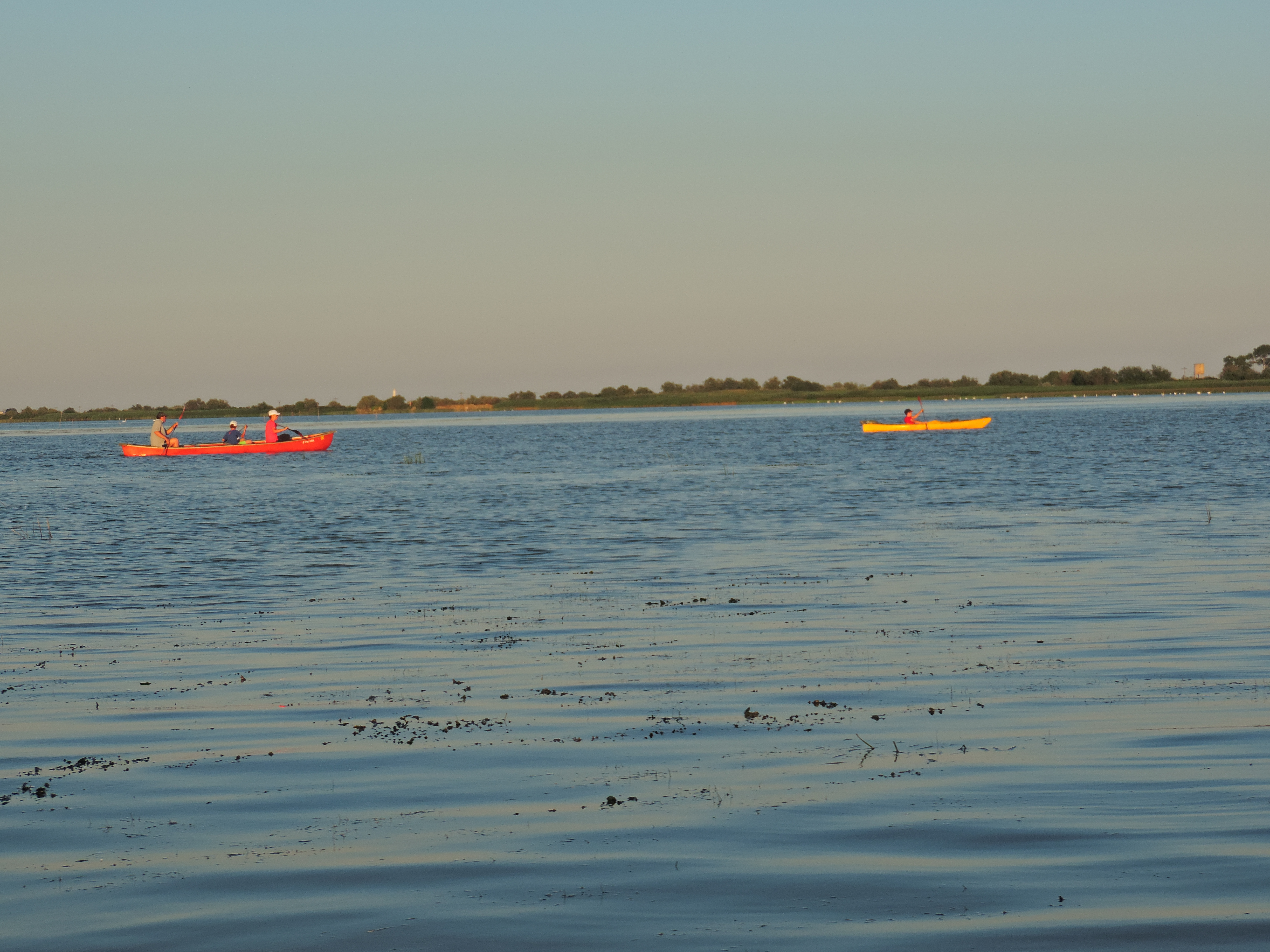 sulina