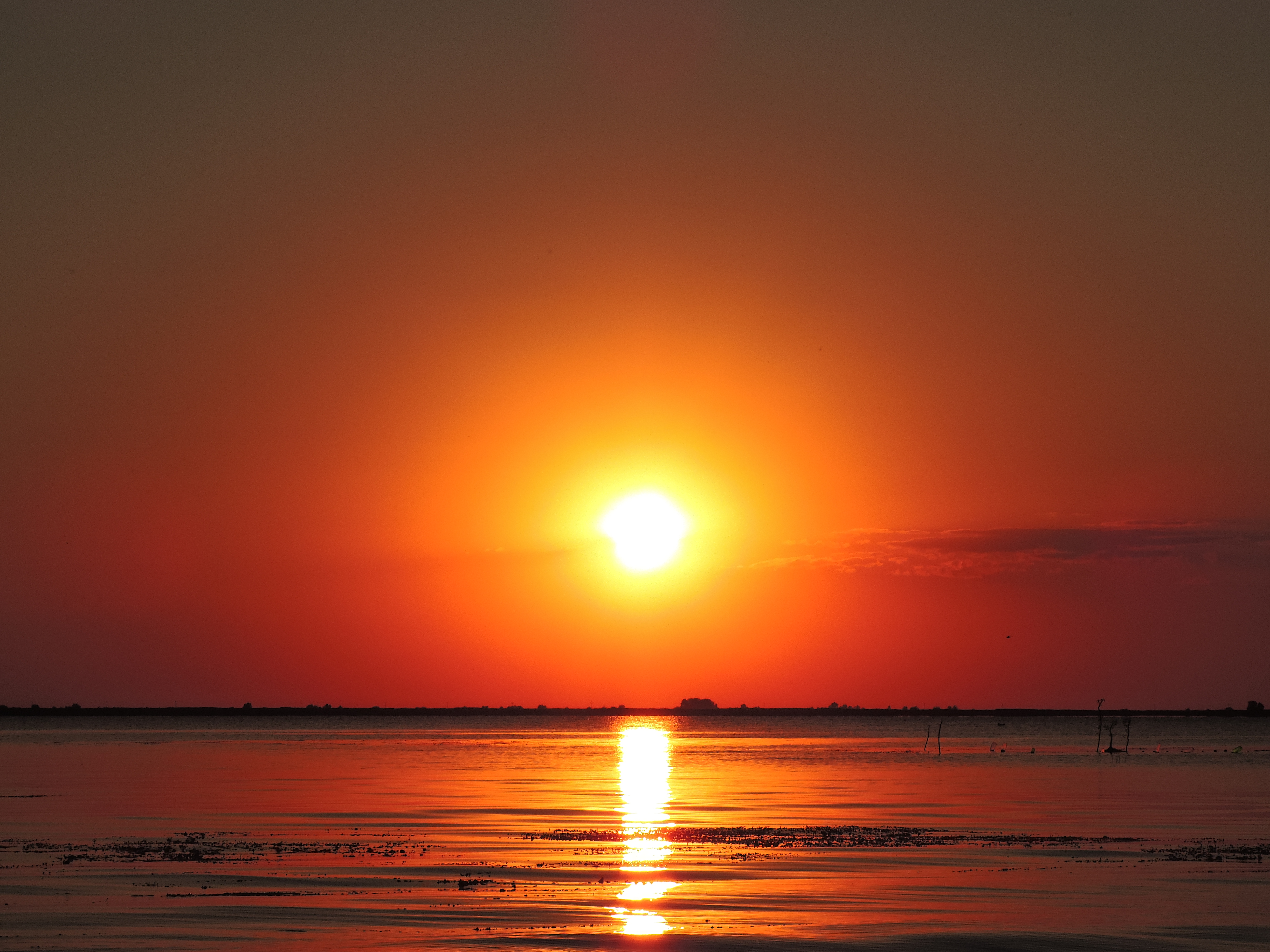 sulina