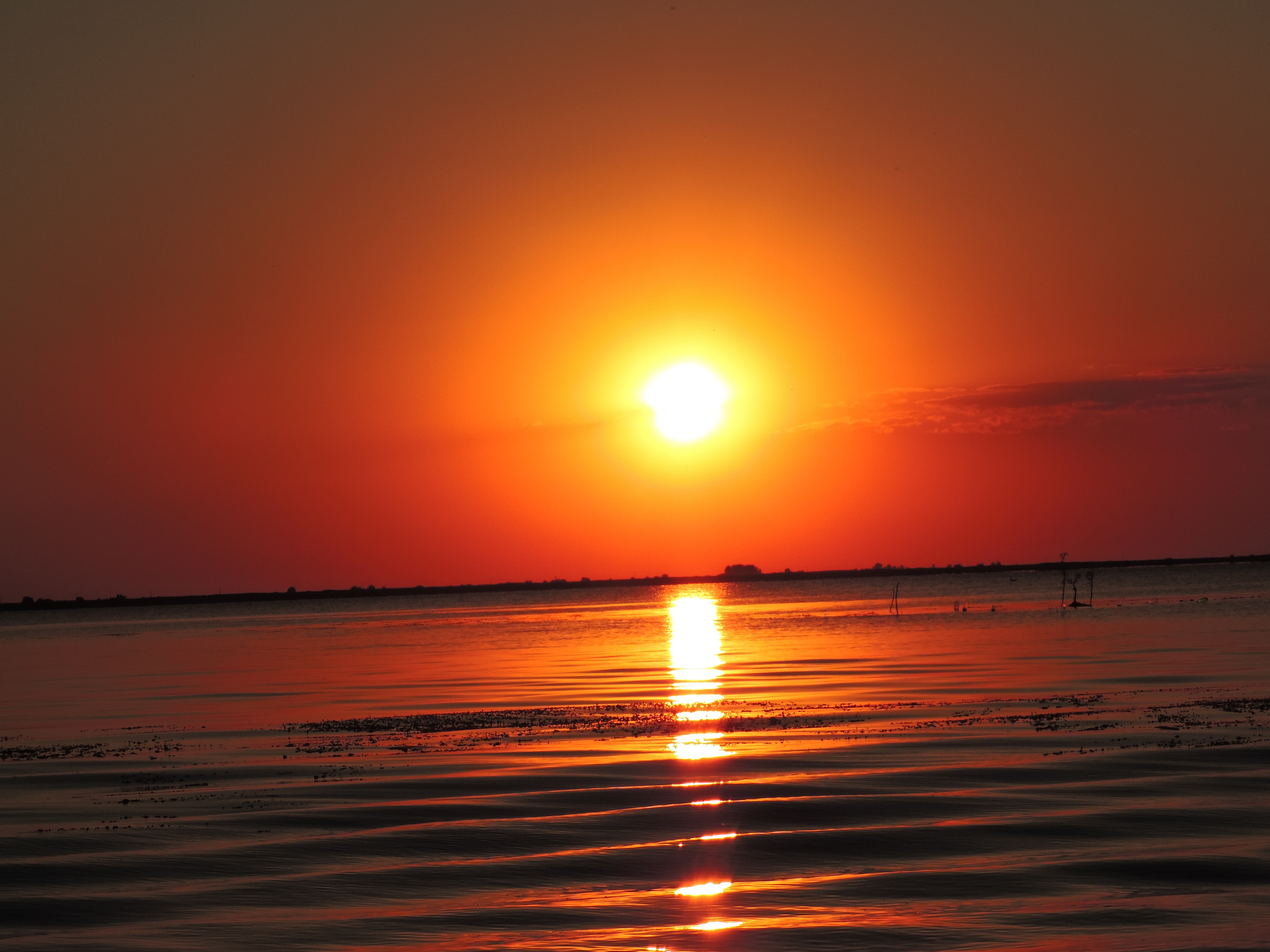 sulina