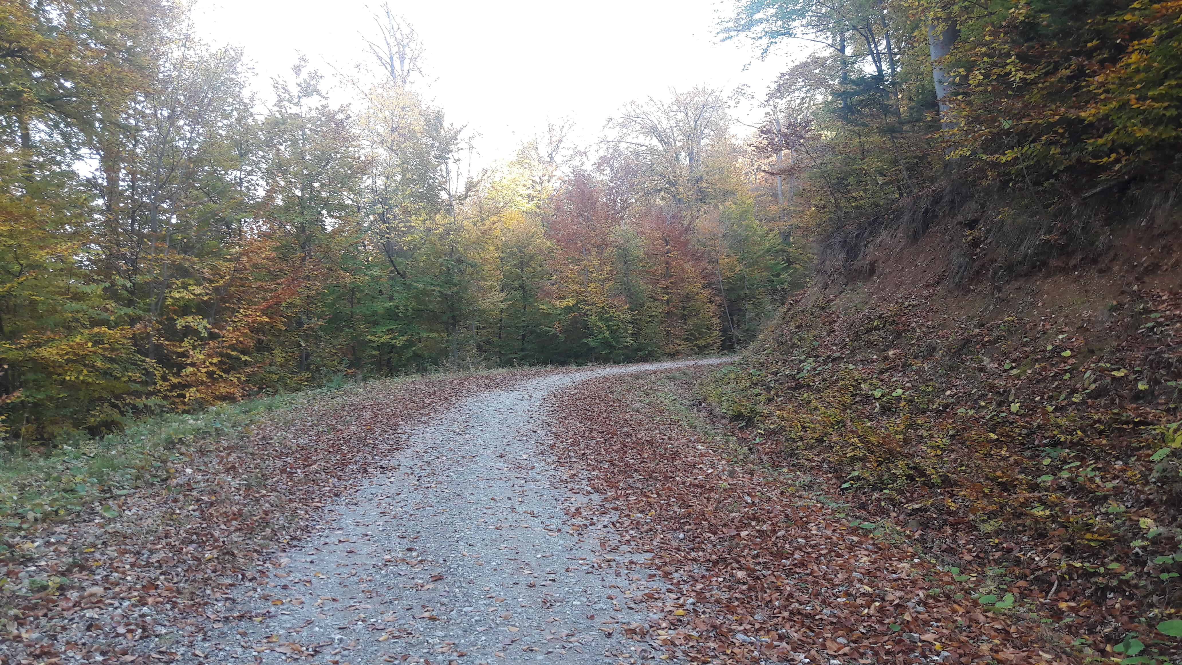Unde alergam in Brașov