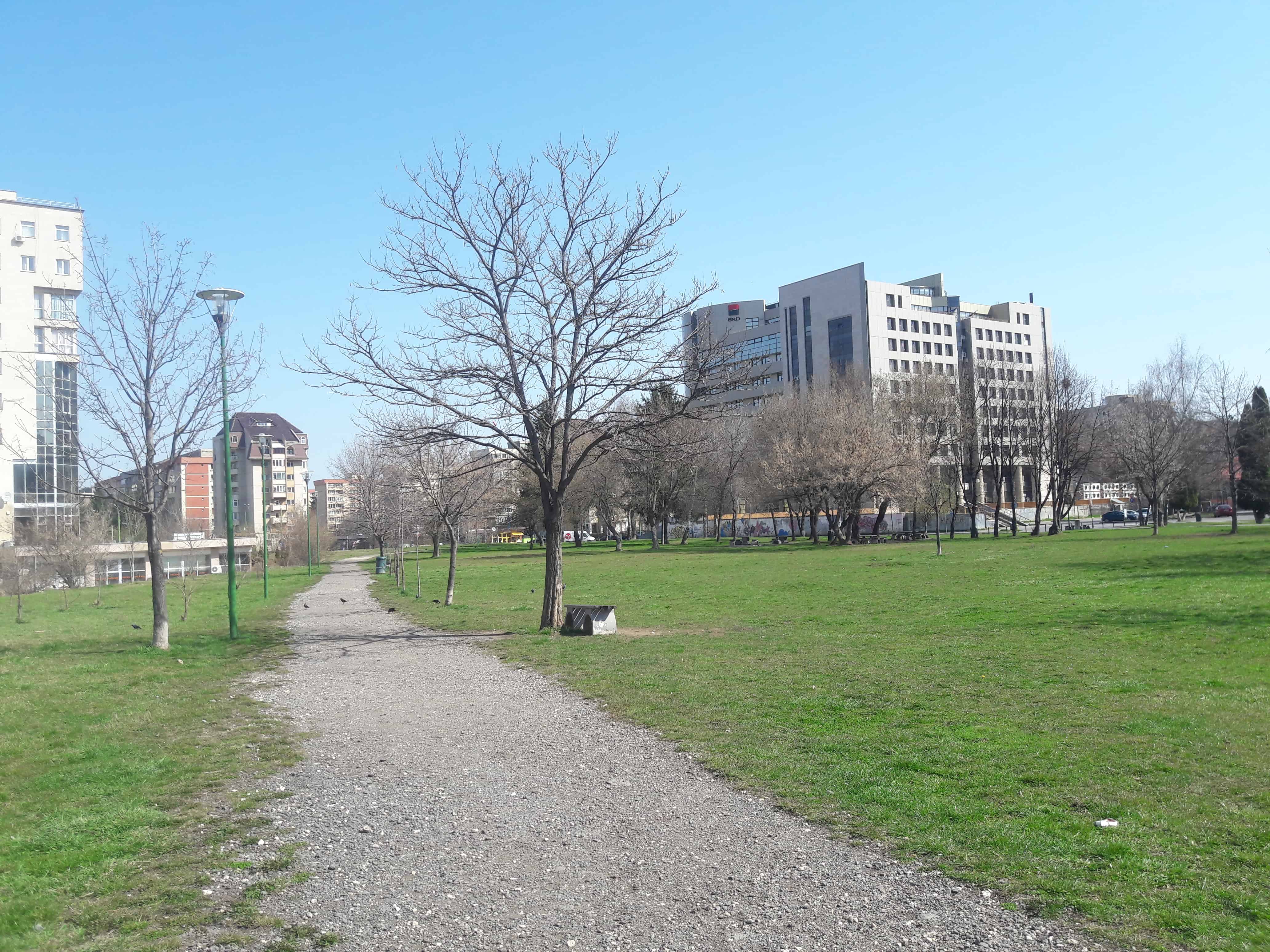 Unde alergam in Brașov