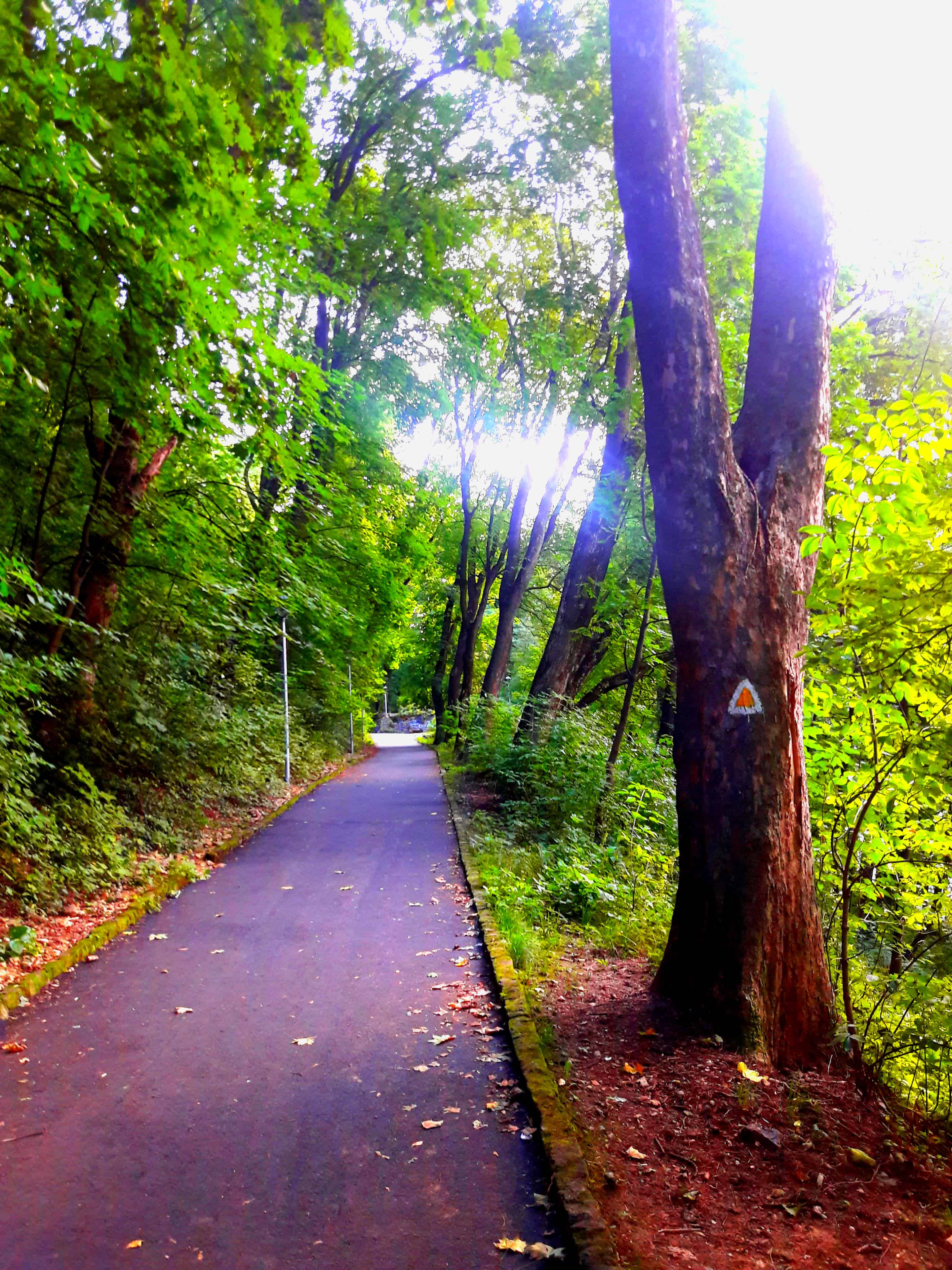 Unde alergam in Brasov