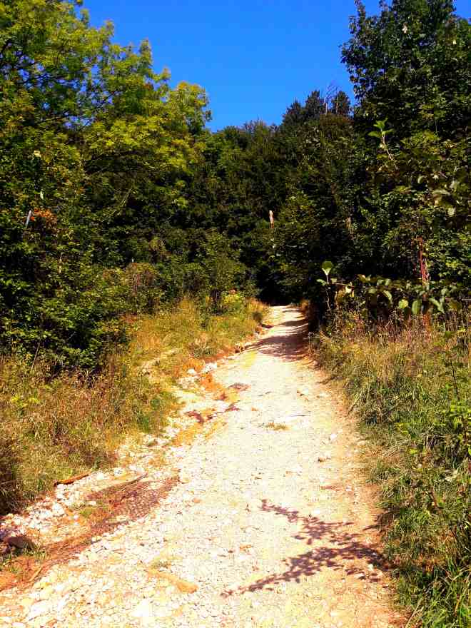 Unde alergam in Brasov