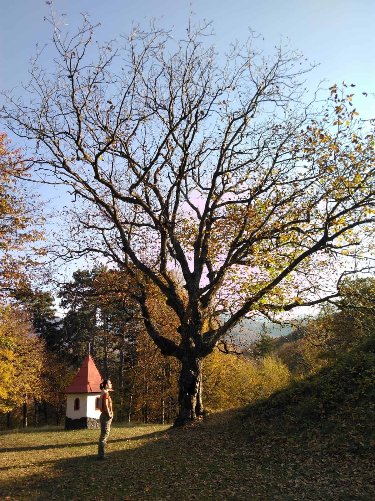 Unde alergam in Brasov