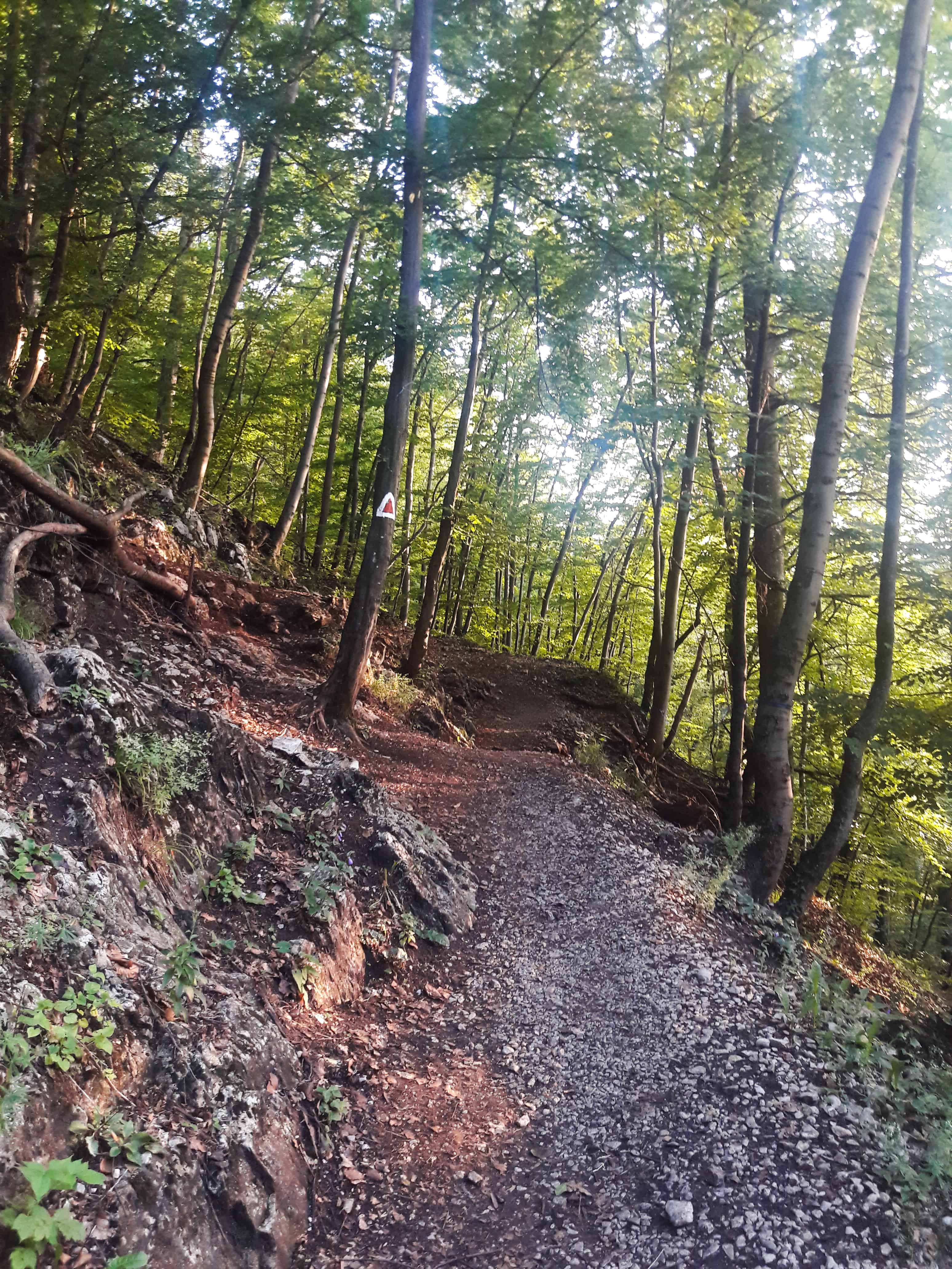 Unde alergam in Brasov