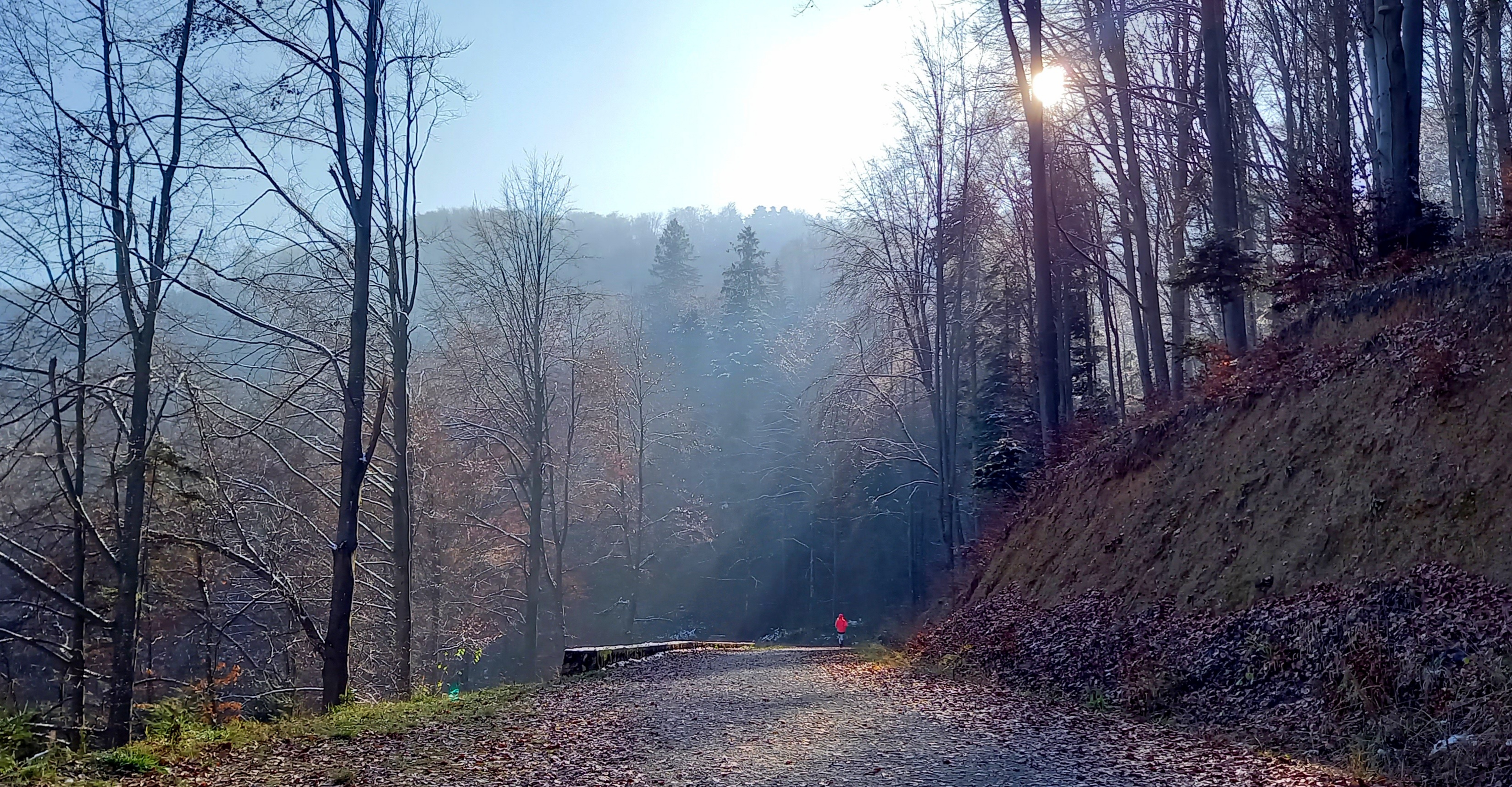 Unde alergam in Brasov
