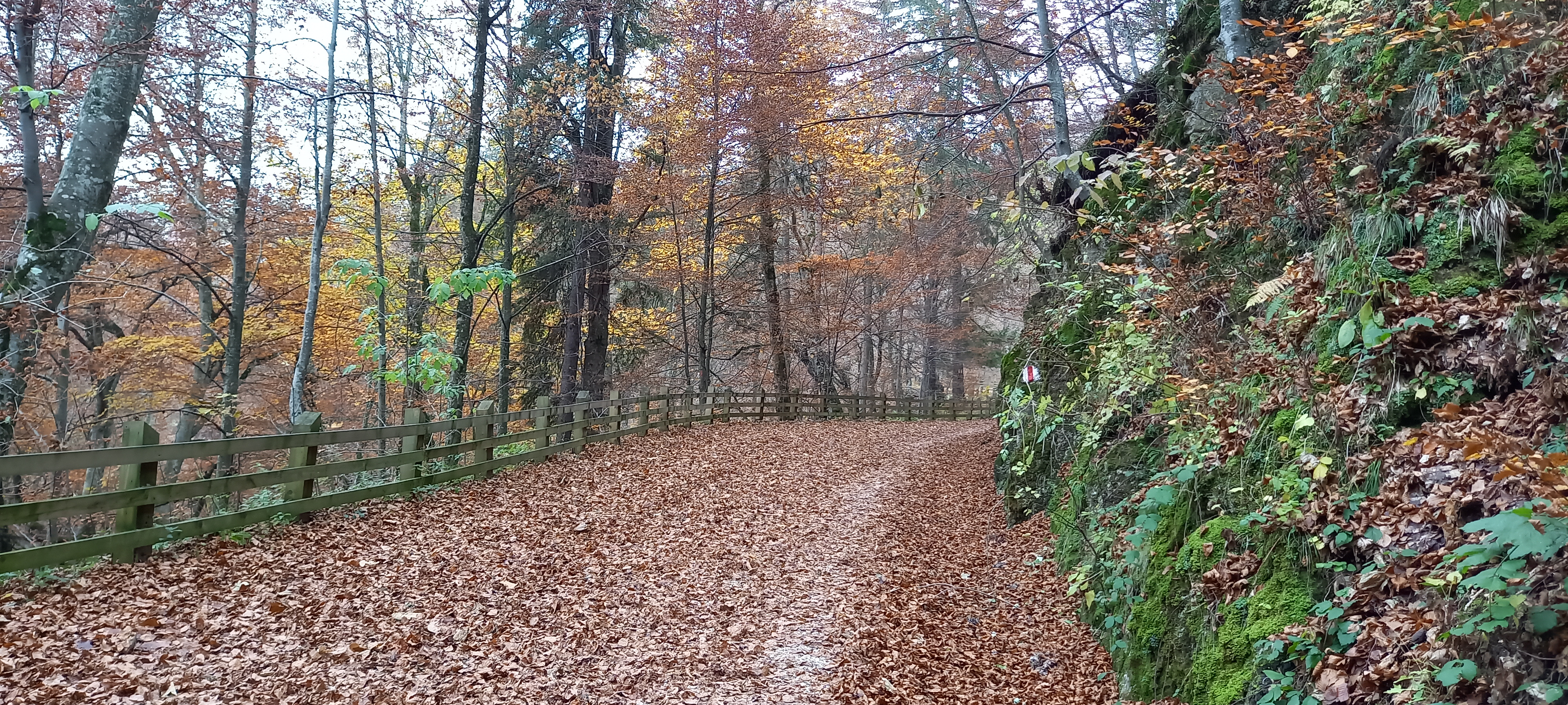 Drumul vechi Poiana