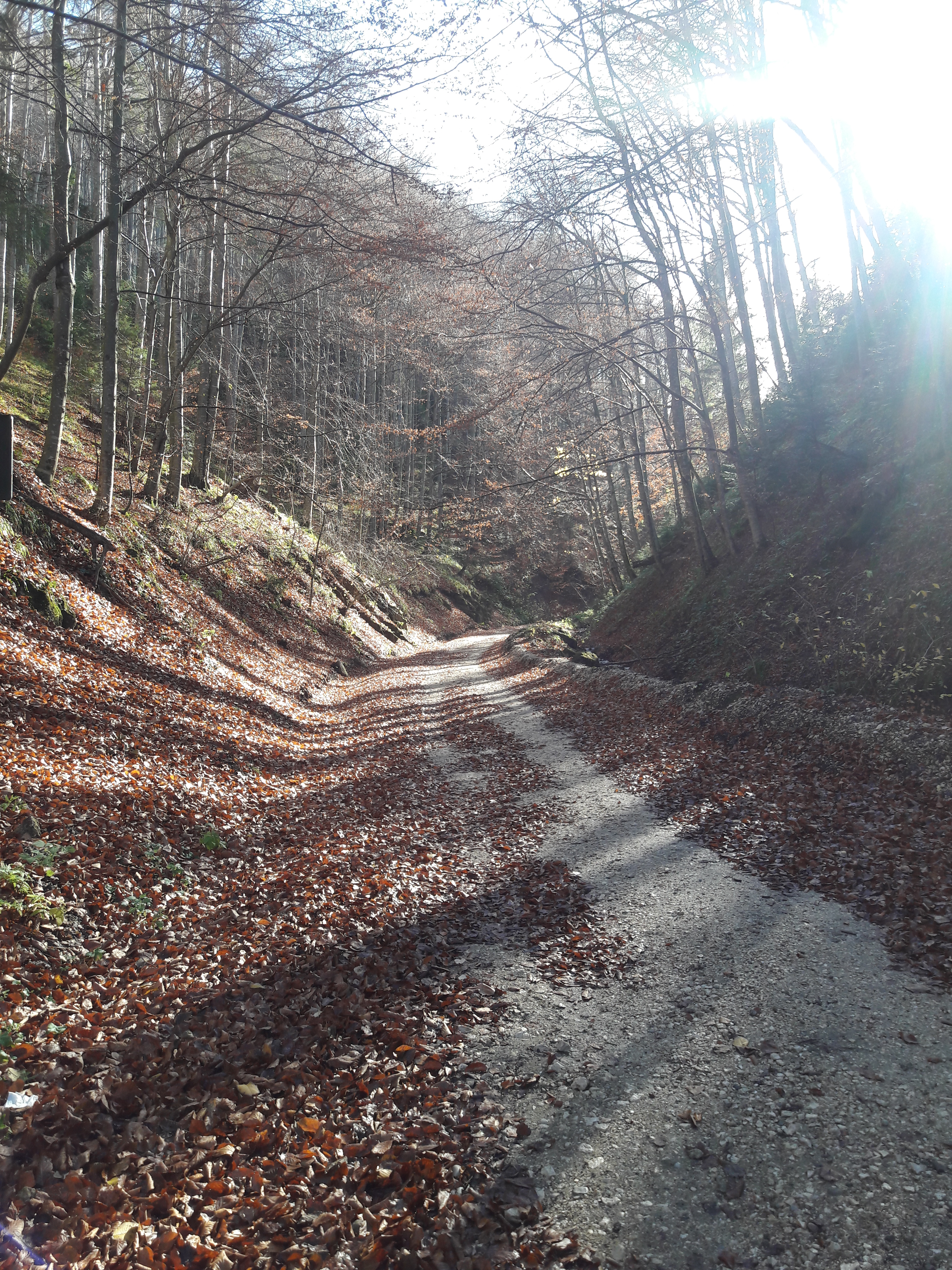 Unde alergam in Brașov