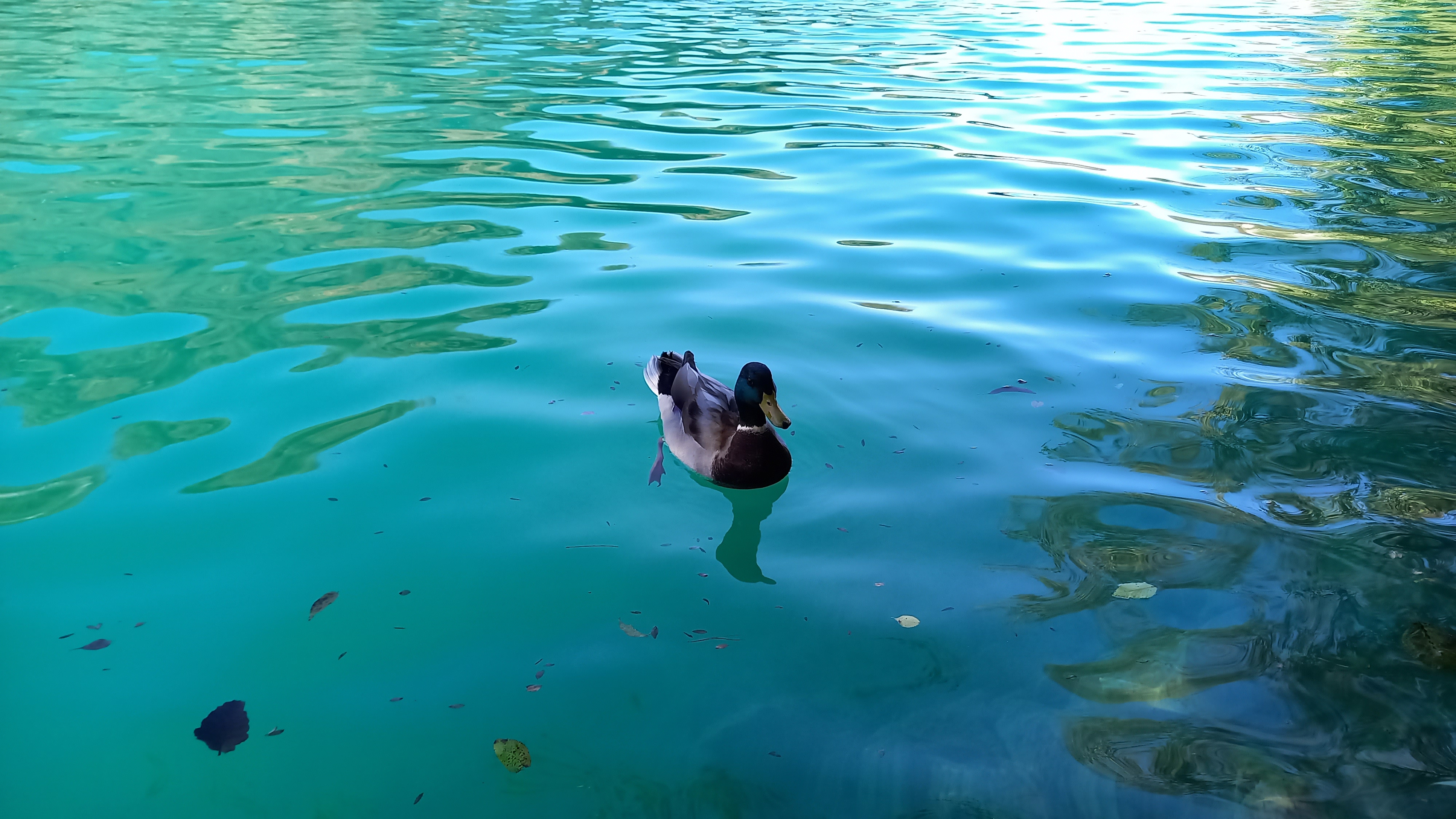 Plitvice