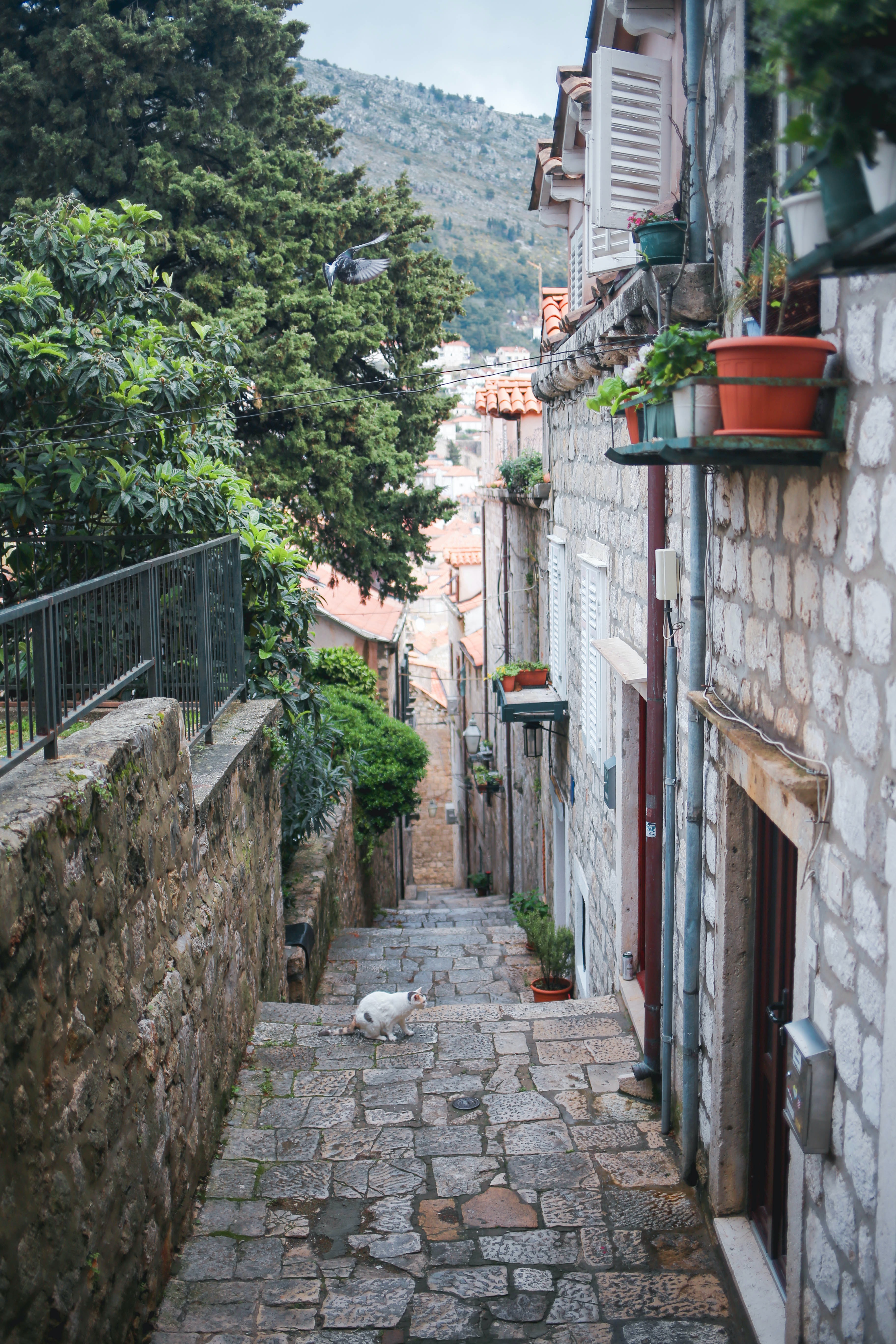 Dubrovnik