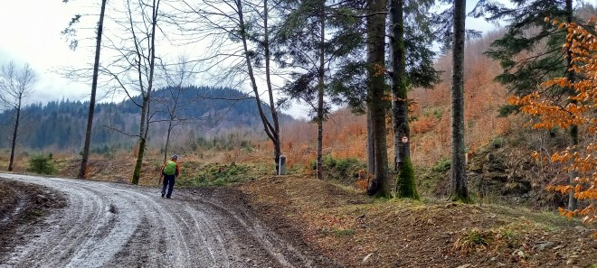 via-transilvanica-putna