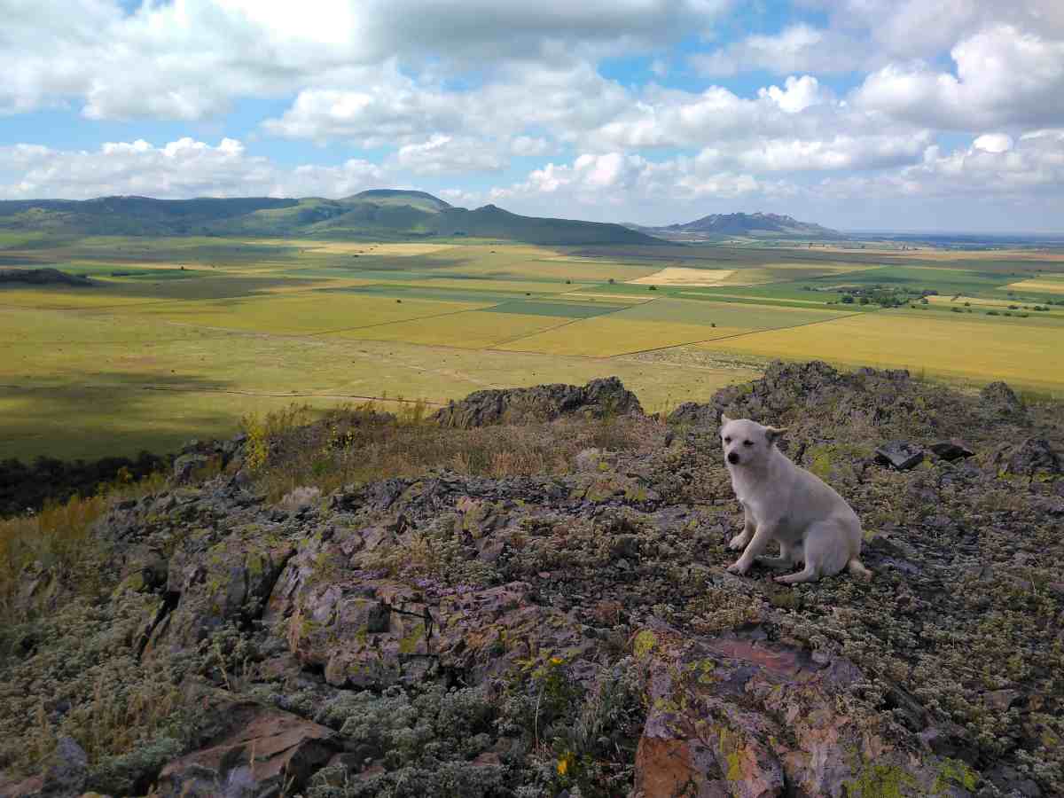 Trasee în Munții Măcin. Peisaj ca în Scoția dar în județul&nbsp;Tulcea