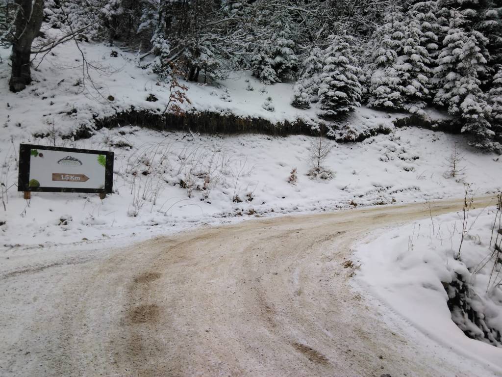 Amfiteatrul Transilvania