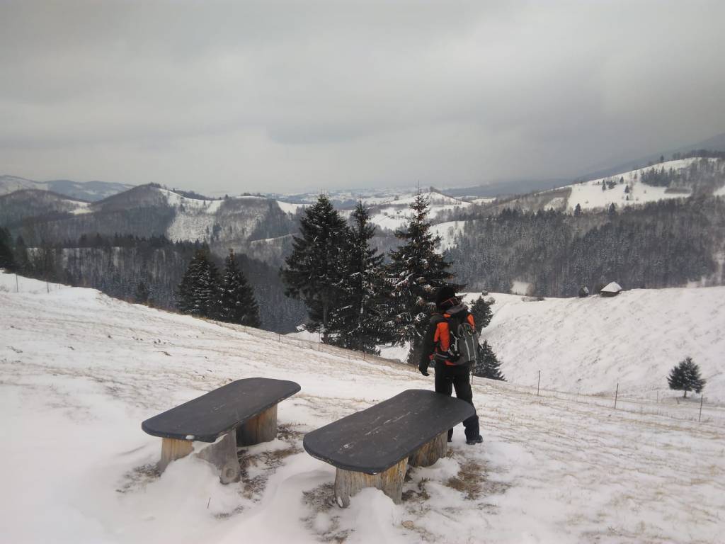 Amfiteatrul Transilvania