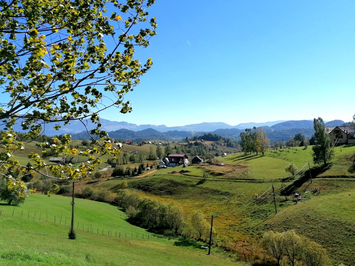 Drumeții cu copiii pe traseele ecoturistice din zona Moieciu –&nbsp;Fundata