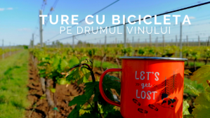 cu bicicleta pe Drumul vinului