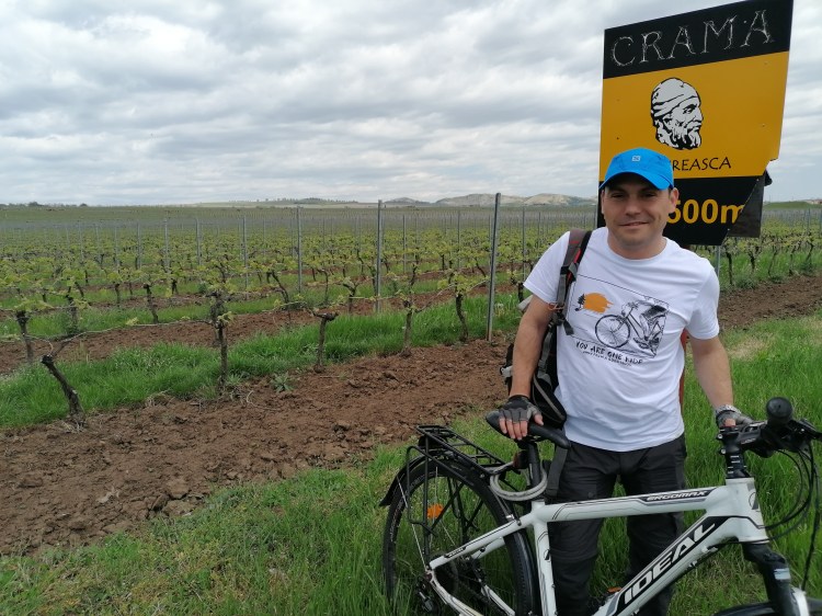 cu bicicleta pe Drumul vinului