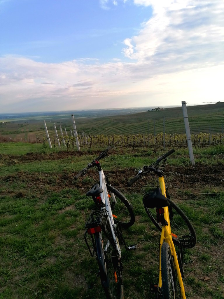 cu bicicleta pe Drumul vinului