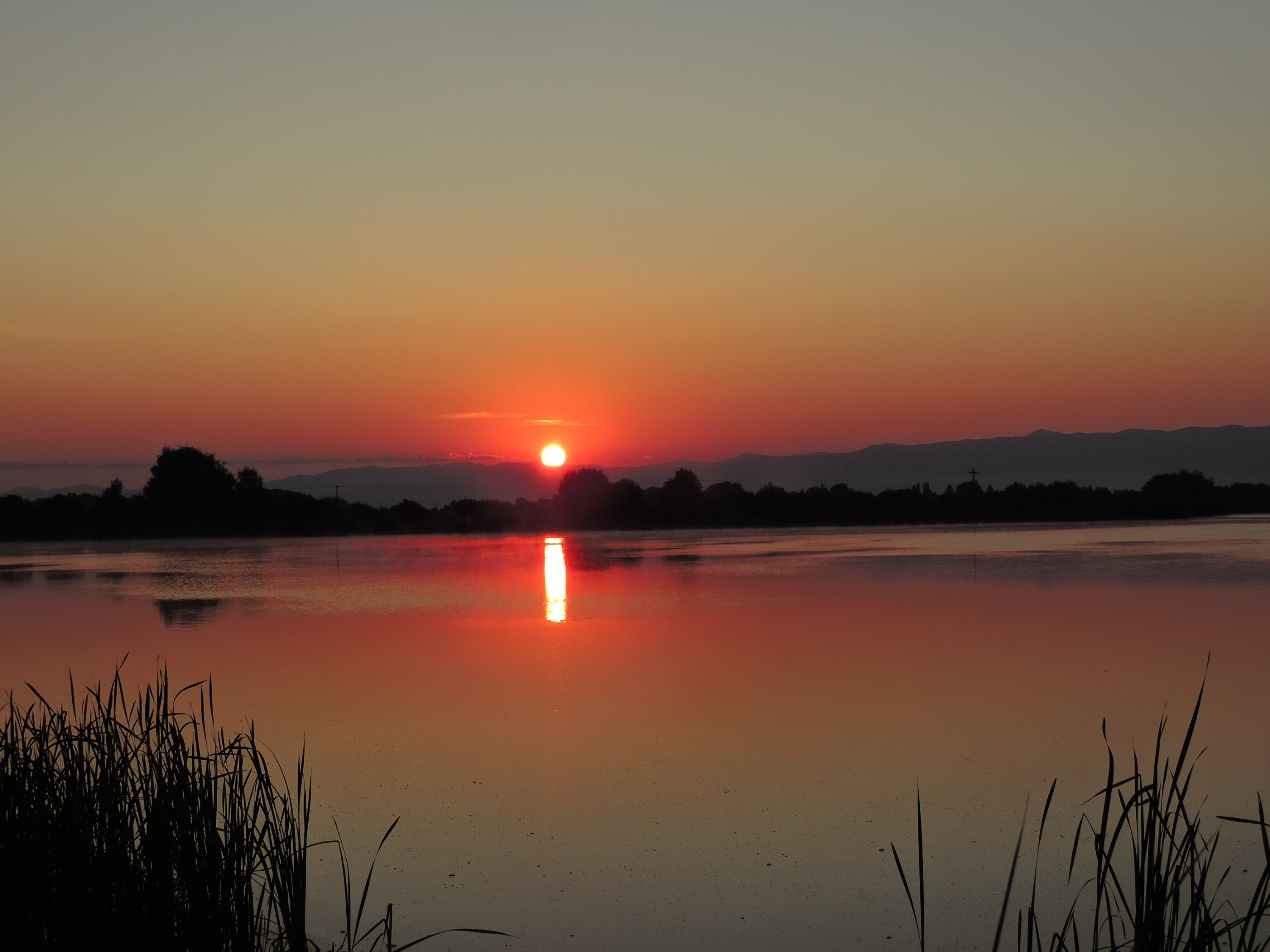 Lacurile Reci si Moacsa
