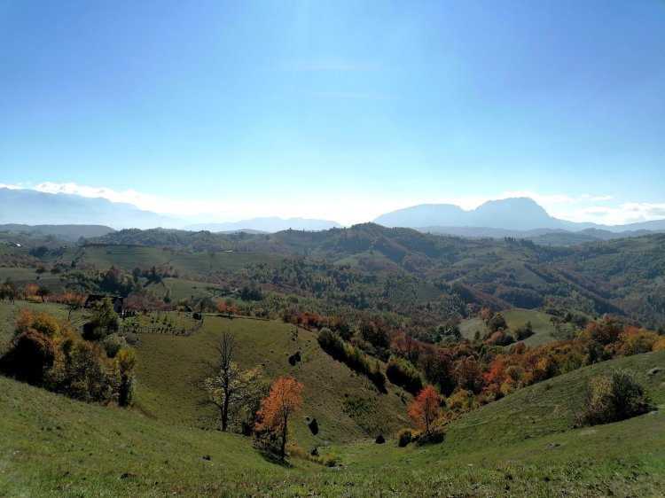 Tura cu bicicleta în Holbav