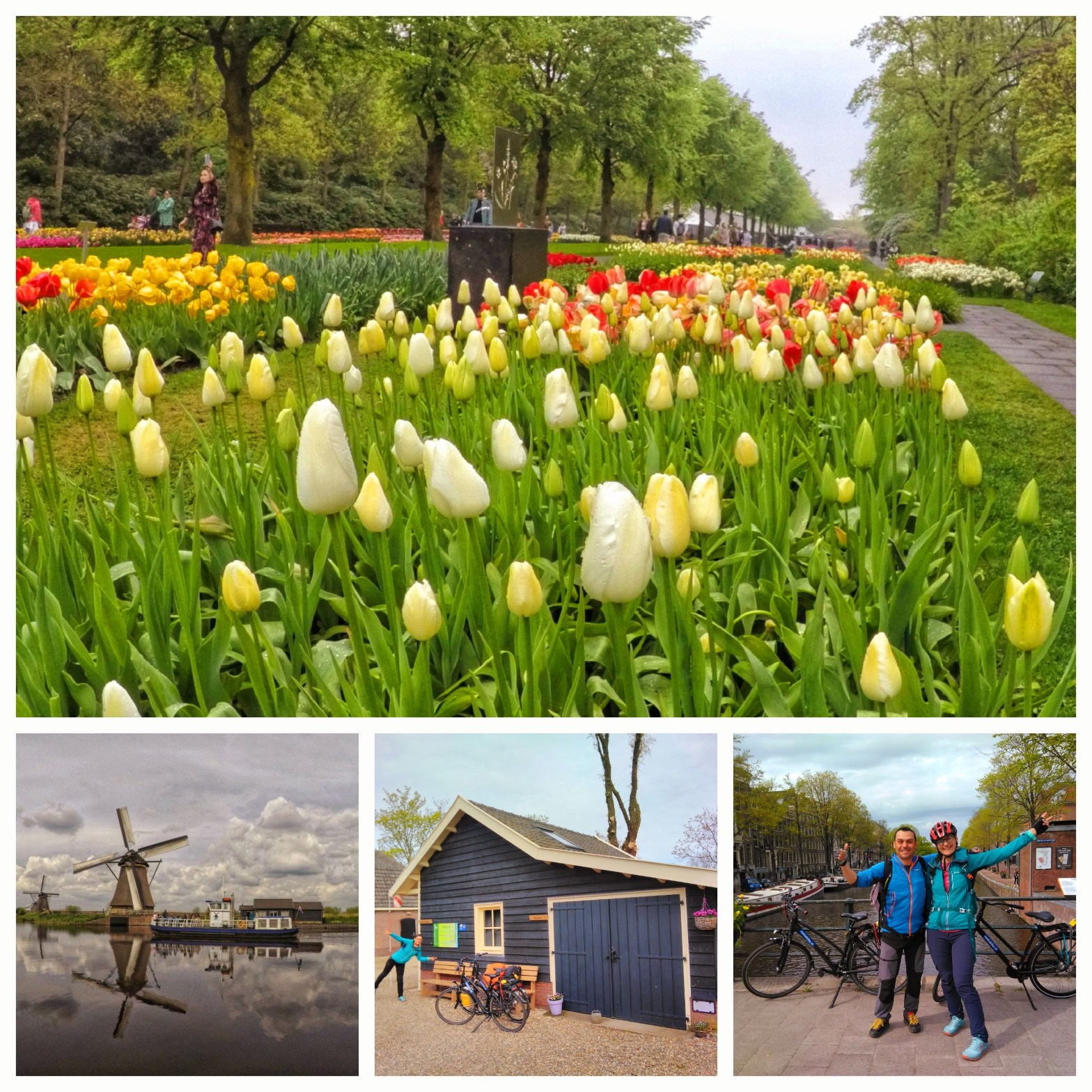 Cu bicicleta in Olanda