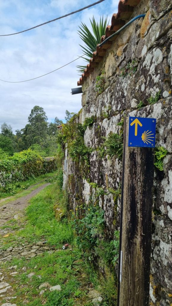 Camino portughez de Coasta