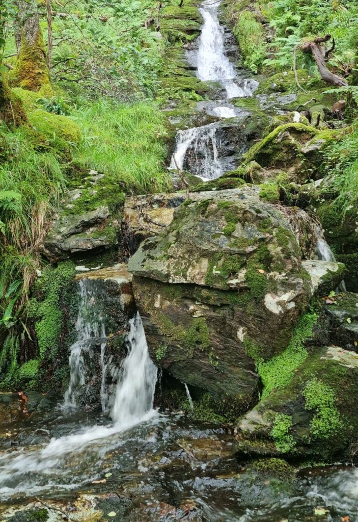 Un peisaj natural cu o apă curgătoare care cade de pe stânci, înconjurată de vegetație verde și mușchi.